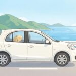 お遍路の車モデルコースと地図!初心者が絶対に迷わない計画法